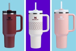 Score a Stanley 40-Ounce Tumbler for as Low as $24.99 at Scheels (Reg. $45) card image