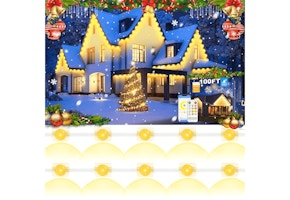 Permanent Outdoor Lights