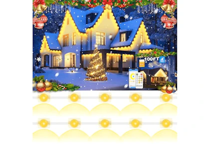 Permanent Outdoor Lights