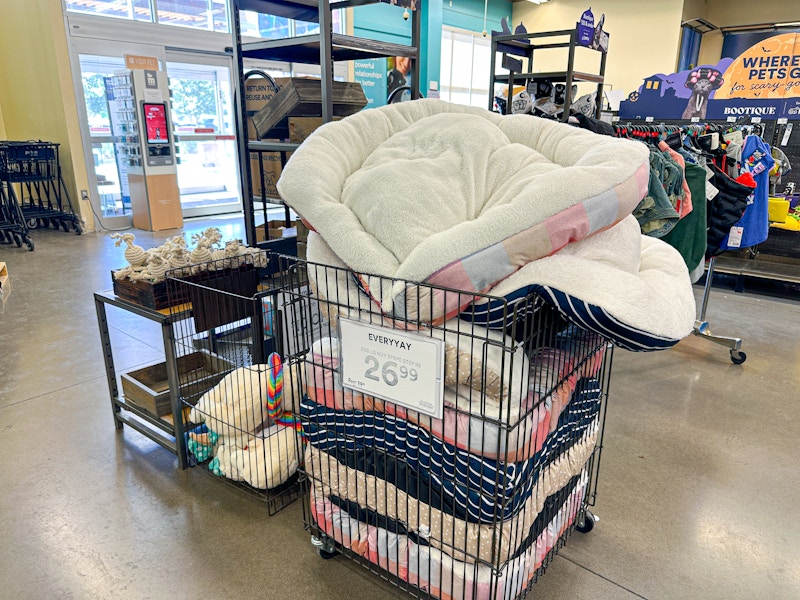 petco-clearance-081225-13