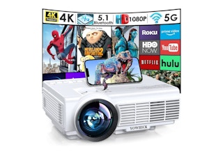 mini projector df image