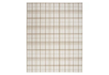 Nourison Area Rug