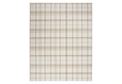 Nourison Area Rug