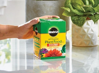 a hand holding a box of plant food