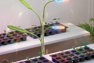 an indoor plant lights with four heads giving light to small plants