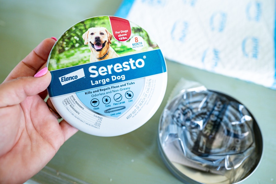 Amazon Seresto Flea & Tick Treatment 2025 2