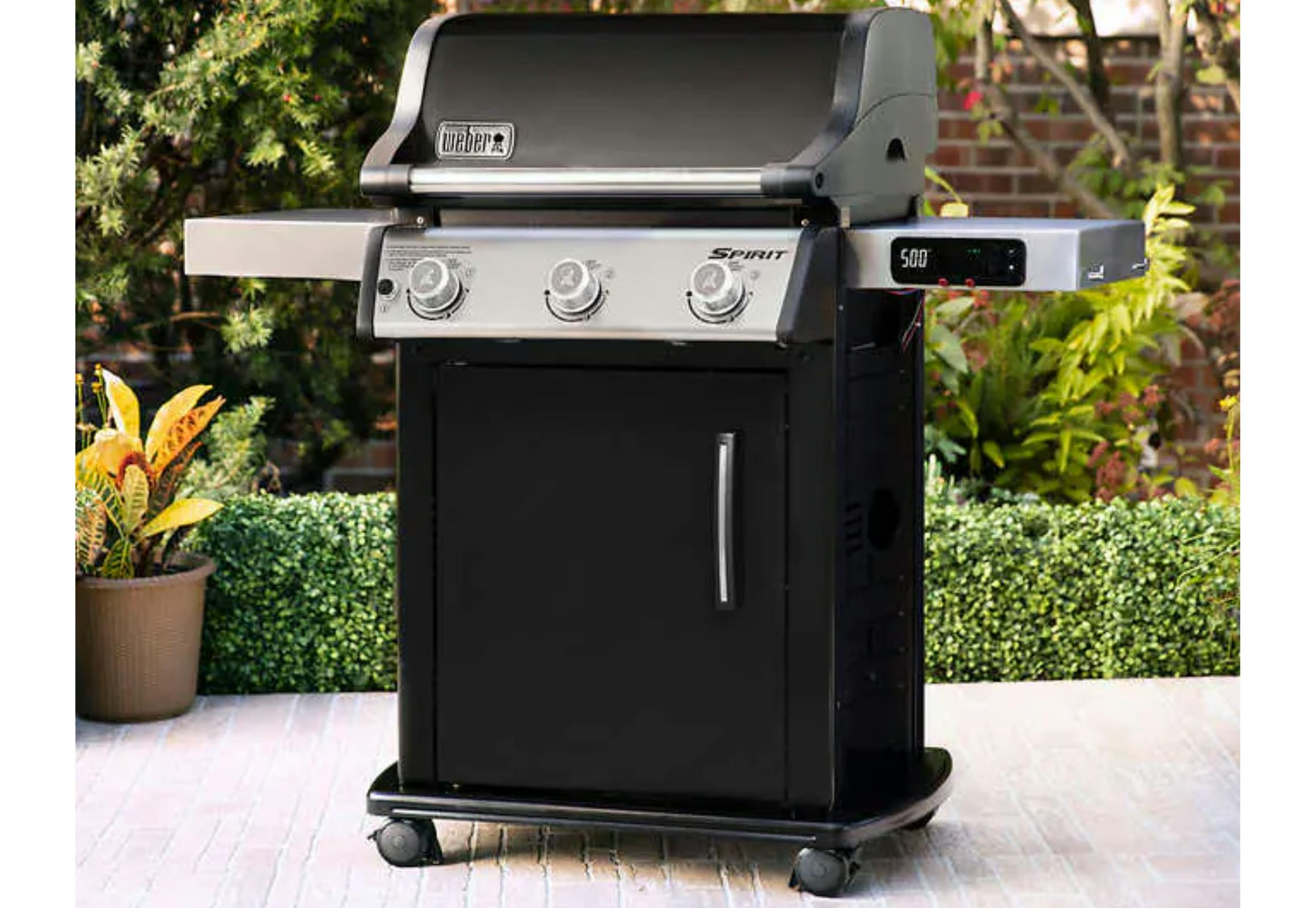 Weber Gas Grill