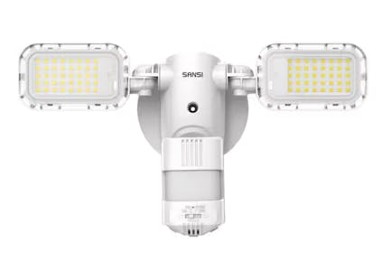 Motion Sensing Floodlight