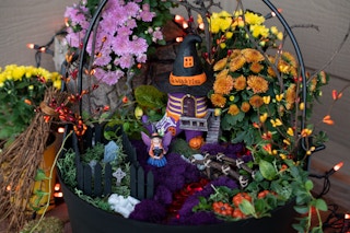 Closed up detail photo of a Halloween Fairy Garden showing a Witch, pumpkin patch, graveyard, house, and ruby red river.