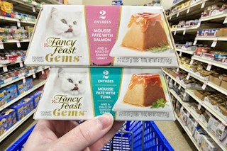person holding 2 containers of fancy feast cat food in an aisle at petsmart