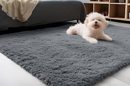 Plush Rug, Only $9.99 for Amazon Prime Members (Reg. $32) card image