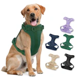 No Pull Dog Harness
