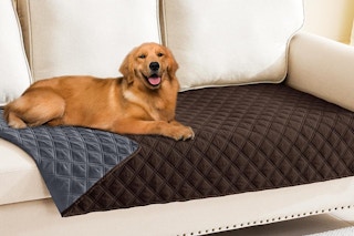 Waterproof Dog Blanket