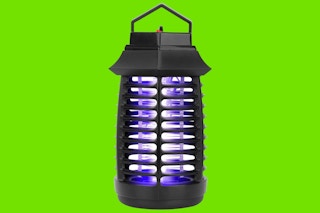 Daily Steals bug zapper feature Image