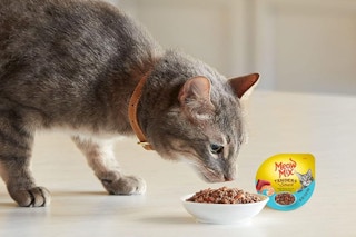 a cat eating cat food in a bowl on a floor