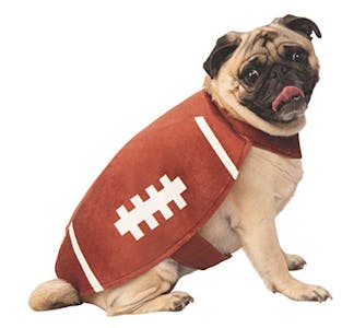 Football Player Pet Costume, Large