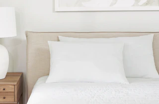 2 pack of pillows from linens and hutch
