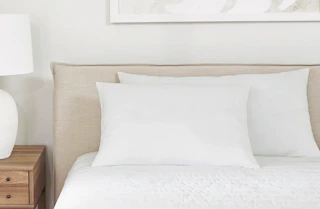 2 pack of pillows from linens and hutch
