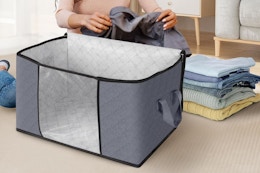 Fab Totes Clothes Storage Bags 6-Pack, Just $10.82 on Amazon card image