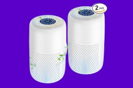 Grab a 2-Pack of Air Purifiers for as Low as $30.24 on Amazon card image