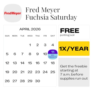 Fred Meyer Fuchsia Saturday predicted start date