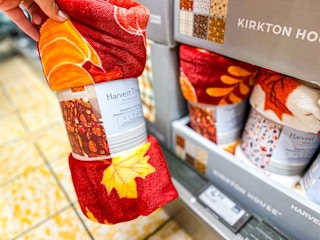 aldi-fall-finds-throw-1