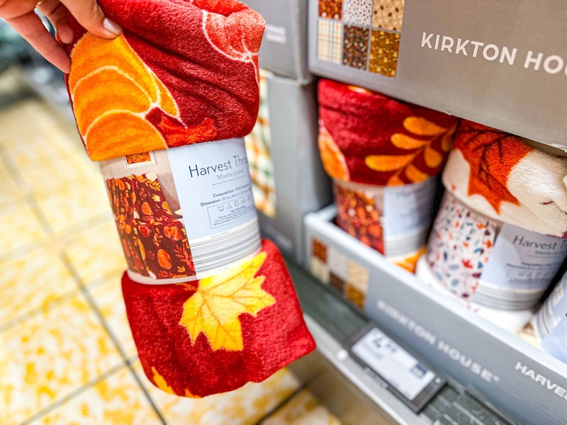 aldi-fall-finds-throw-1