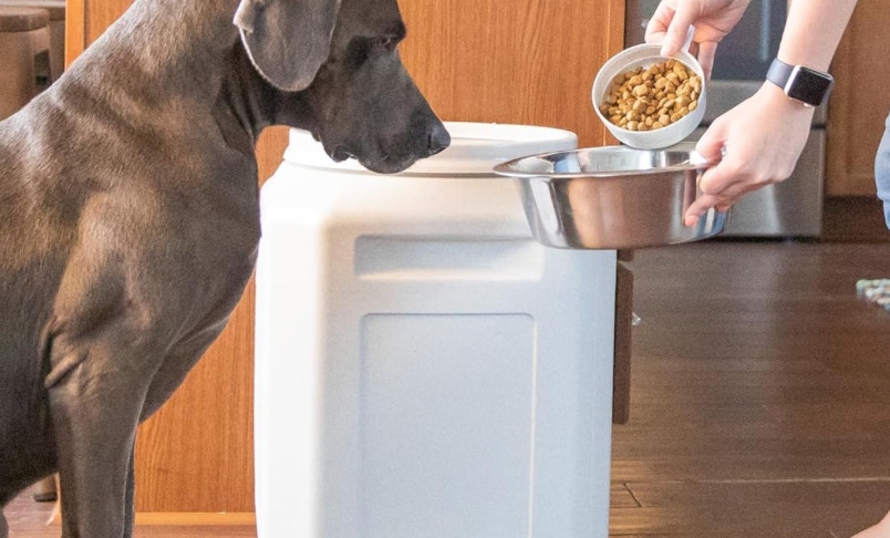 Amazon Gamma2 Vittles Vault Container 2025 2