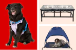 collage with pet items on a red and cream background