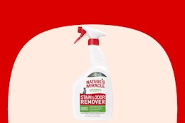 petsmart nature's miracle stain remover on cream and red background