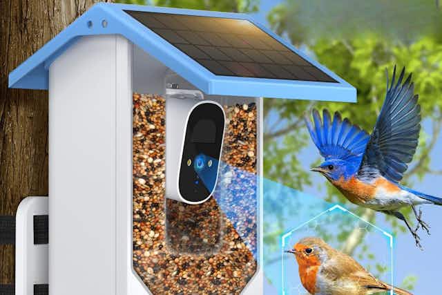Solar-Powered Bird Feeder With Camera, Just $65 on Amazon (Reg. $130) card image