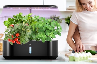 a woman cutting vegetables next to a hydroponics system
