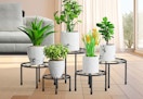 walmart metal plant stand set