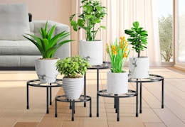 Get a Set of 5 Metal Plant Stands for Under $20 at Walmart card image