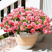 Artificial Faux Outdoor Flowers