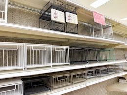 Target bathroom storage