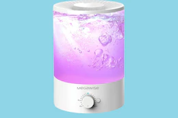 Cool Mist Humidifier