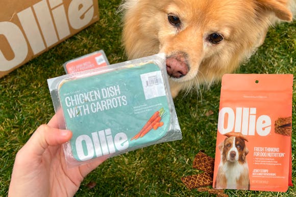 70% Off Ollie Fresh Dog Food + Free Jerky Treats and Puzzle Toy