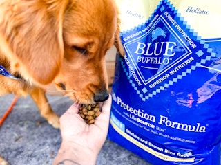 amazon-pet-day-blue-buffalo-dog-food-3