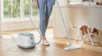 a person cleaning hardwood floors with a steam cleaner next to a dog