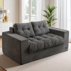 Loveseat Sofa Couch