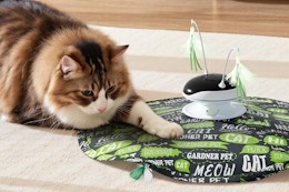 Cat Laser Toy