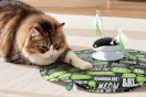 Cat Laser Toy