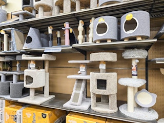 display of cat trees and scratchers