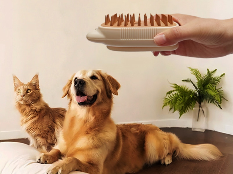 Amazon Steam Pet Brush 2025 2