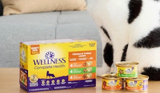 a box of canned cat food next to a cat