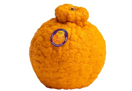 2 Sumo Citrus Mandarin Oranges