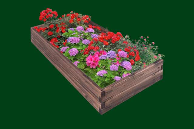 Garden Beds, as Low as $68 at Macy's (Reg. $142+) card image