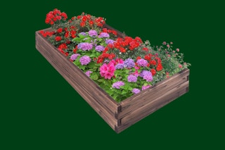 Garden beds from Macy's on green background