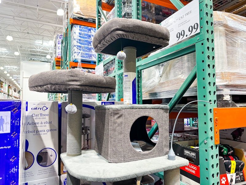 costco Catry Kingdom 78 inch Cat Tree price